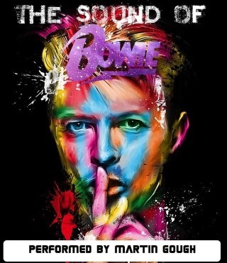 David Bowie Tribute Act from M Gough