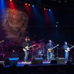 Illegal Eagles Tribute Band